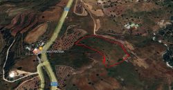 Paphos Drouseia Agricultural Land For Sale BSH31333