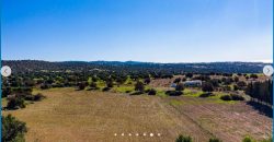 Paphos Kouklia Land Residential For Sale AMR10161