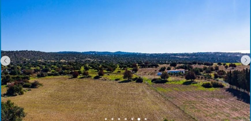 Paphos Kouklia Land Residential For Sale AMR10161