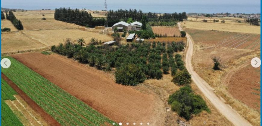 Paphos Kouklia Land Residential For Sale AMR15242