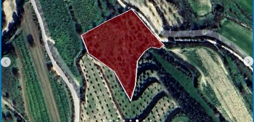 Paphos Tsada Land Residential For Sale AMR37294