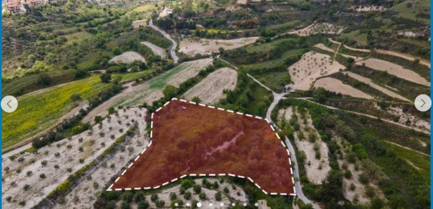 Paphos Tsada Land Residential For Sale AMR37924