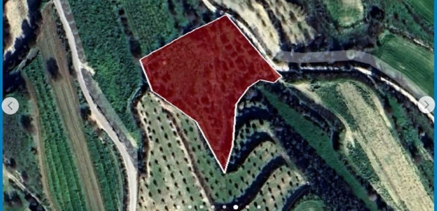 Paphos Tsada Land Residential For Sale AMR37924