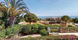 Paphos Coral Bay 3 Bedroom Villas / Houses For Sale LPT17165