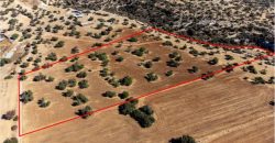 Paphos Kouklia Land Residential For Sale GRD7322