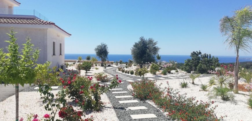 Paphos Peyia St. George 4 Bedroom Villa For Sale GRP050