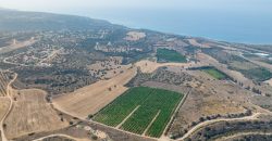 Paphos Kouklia Land Residential For Sale BCK041