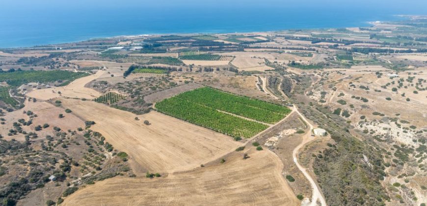 Paphos Kouklia Land Residential For Sale BCK041