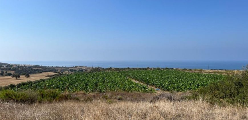 Paphos Kouklia Land Residential For Sale BCK041