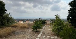 Paphos Mesa Chorio Land Plot For Sale BCK051