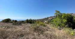 Paphos Tala Kamares Land Residential For Sale BC540