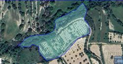 Paphos Kallepia Land Agricultural For Sale BC548