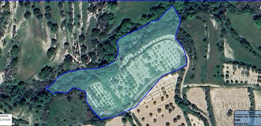 Paphos Kallepia Land Agricultural For Sale BC548