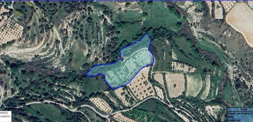 Paphos Kallepia Land Agricultural For Sale BC548