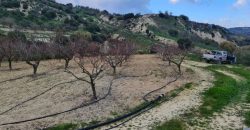 Paphos Kallepia Land Agricultural For Sale BC548