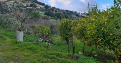 Paphos Kallepia Land Agricultural For Sale BC548