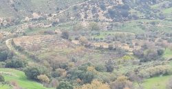 Paphos Kallepia Land Agricultural For Sale BC548