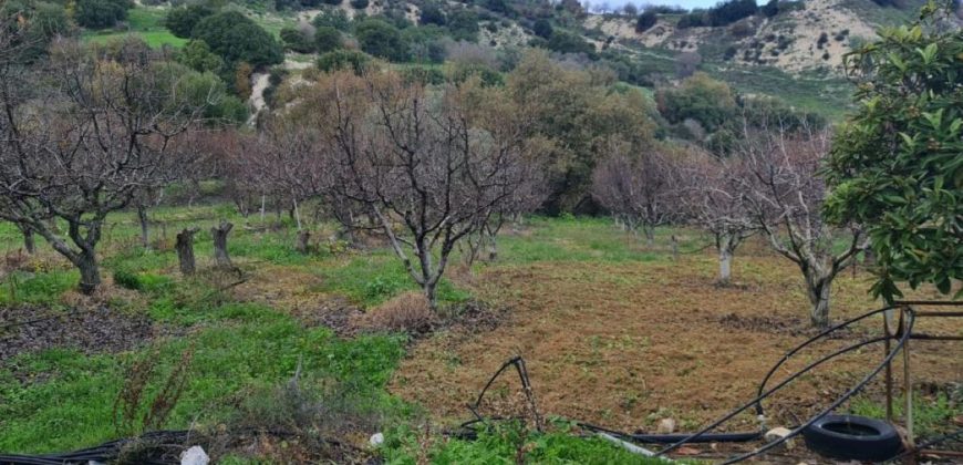 Paphos Kallepia Land Agricultural For Sale BC548