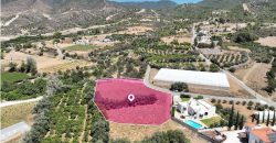 Paphos Agia Marina Chrysochous Land Residential For Sale MLT43414