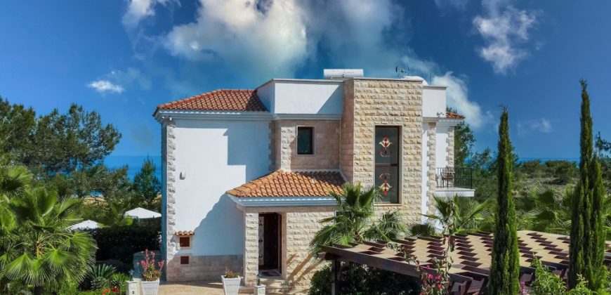 Paphos Argaka 4 Bedroom House For Sale DLHP0246S