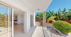 Paphos Kissonerga 4 Bedroom House For Sale DLHP0461