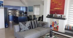 Paphos Pegeia 4 Bedroom House For Sale DLHP0054