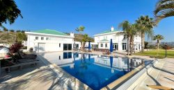 Limassol Pyrgos 10 Bedroom Detached Villa For Sale BSH32516