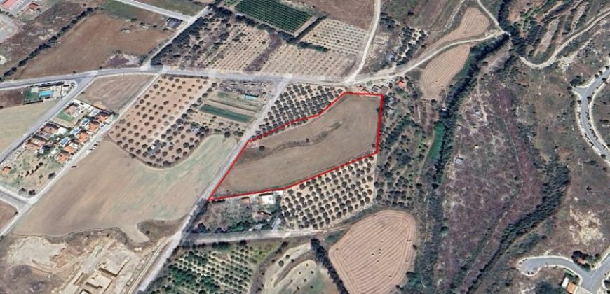 Paphos Koloni Agricultural Land For Sale BSH37442