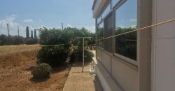 Paphos Emba 4 Bedroom Bungalow For Rent KTM99196