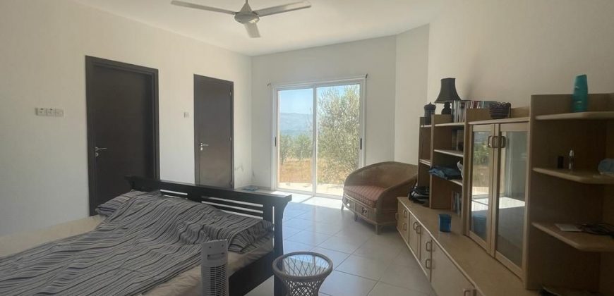 Paphos Polemi 3 Bedroom House For Sale DLHP0288
