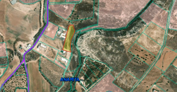 Paphos Anarita Plot For Sale MYM0101