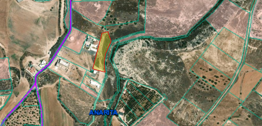 Paphos Anarita Plot For Sale MYM0101