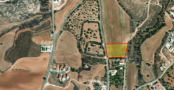 Paphos Anarita Plot For Sale MYM0107