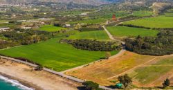 Paphos Argaka Plot For Sale MYM10228