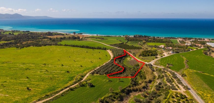 Paphos Argaka Plot For Sale MYM10228