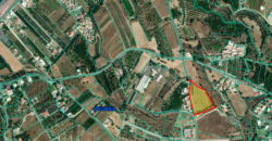 Paphos Argaka Plot For Sale MYM0598