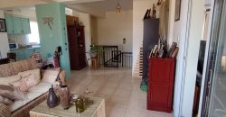 Paphos Empa 3 Bedroom House For Sale DLHP0567