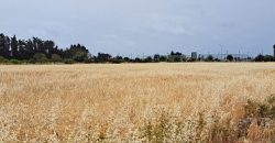 Paphos Geroskipou Plot For Sale MYM10264