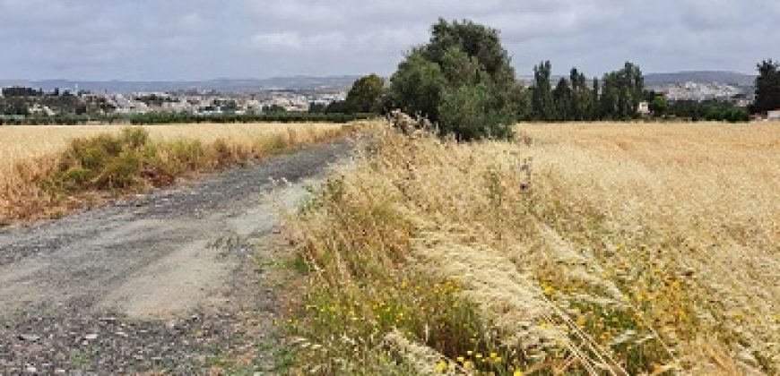 Paphos Geroskipou Plot For Sale MYM10264