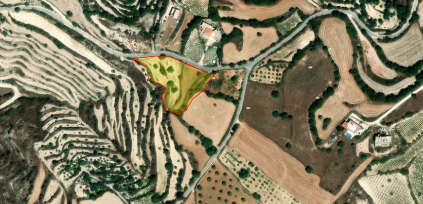 Paphos Koili Plot For Sale MYM0867