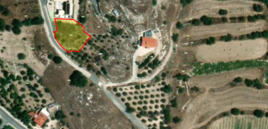 Paphos Letymbou Plot For Sale MYM01688