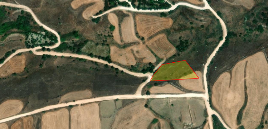 Paphos Pano Arodes Plot For Sale MYM065