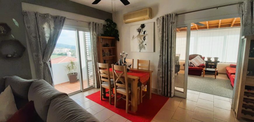 Paphos Pegeia 3 Bedroom House For Sale DLHP0570