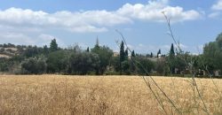 Paphos Polis Plot For Sale MYM0852