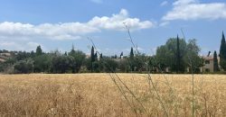 Paphos Polis Plot For Sale MYM0852