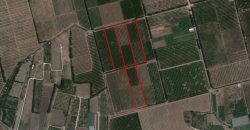 Limassol Akrotiri Agricultural Land For Sale BSH13350