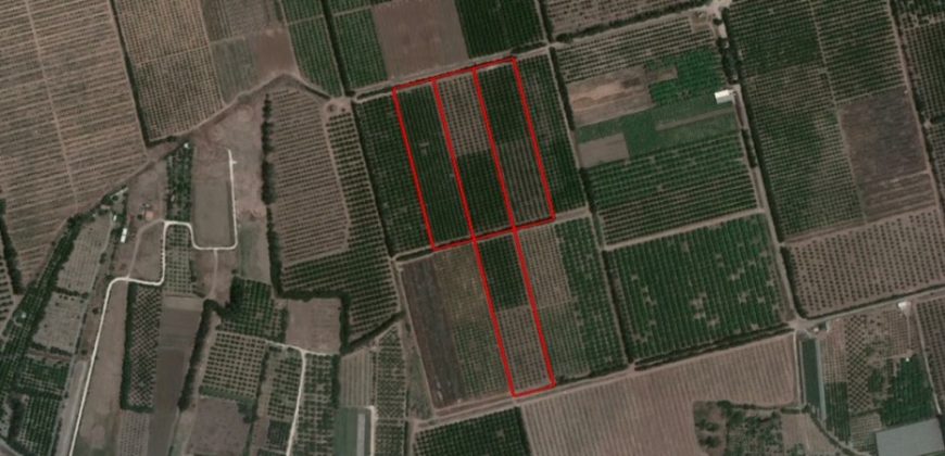 Limassol Akrotiri Agricultural Land For Sale BSH13350