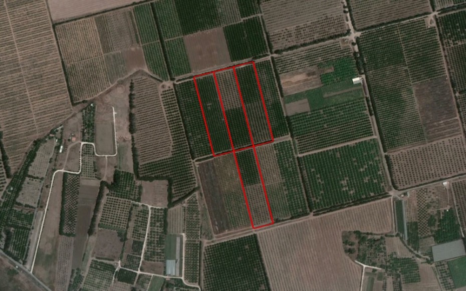 Limassol Akrotiri Agricultural Land For Sale BSH13350