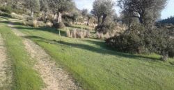 Limassol Pissouri Touristic Land For Sale BSH13390