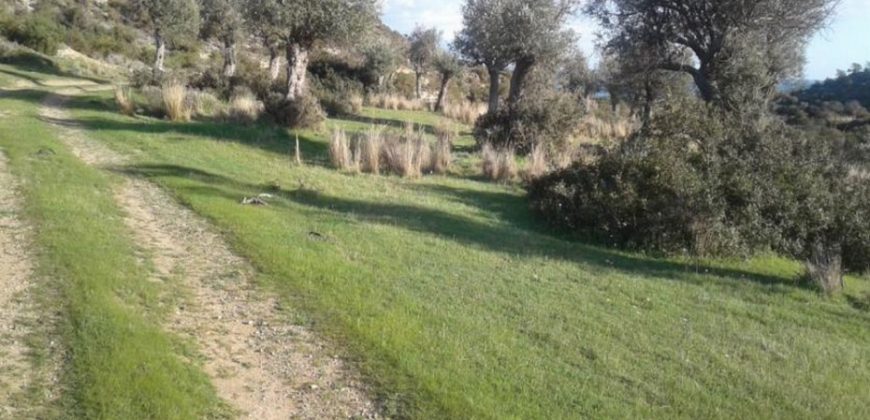 Limassol Pissouri Touristic Land For Sale BSH13390